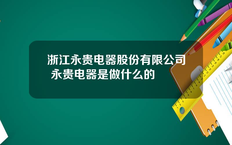 浙江永贵电器股份有限公司 永贵电器是做什么的